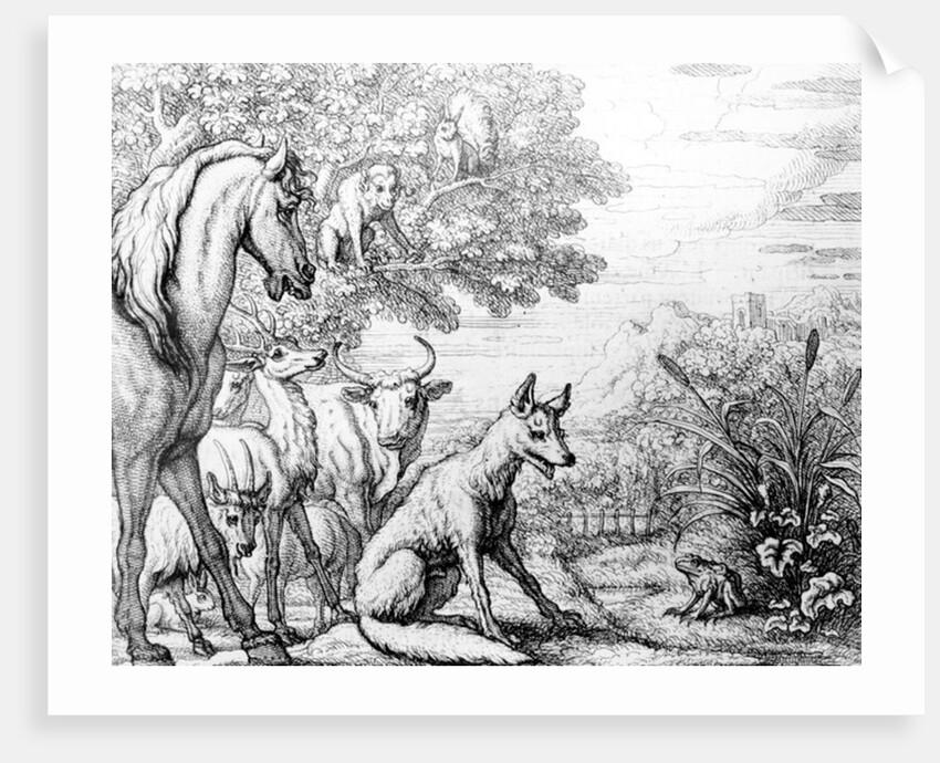 The Ambitious Frog by Francis Barlow