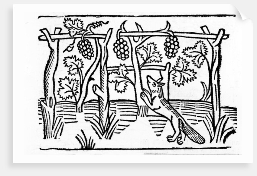 The Fox and the Raisins by English School