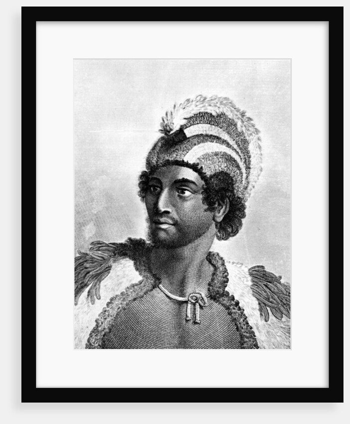 Portrait of Kaneena, a Chief of the Sandwich Islands in the North Pacific Ocean by John Webber