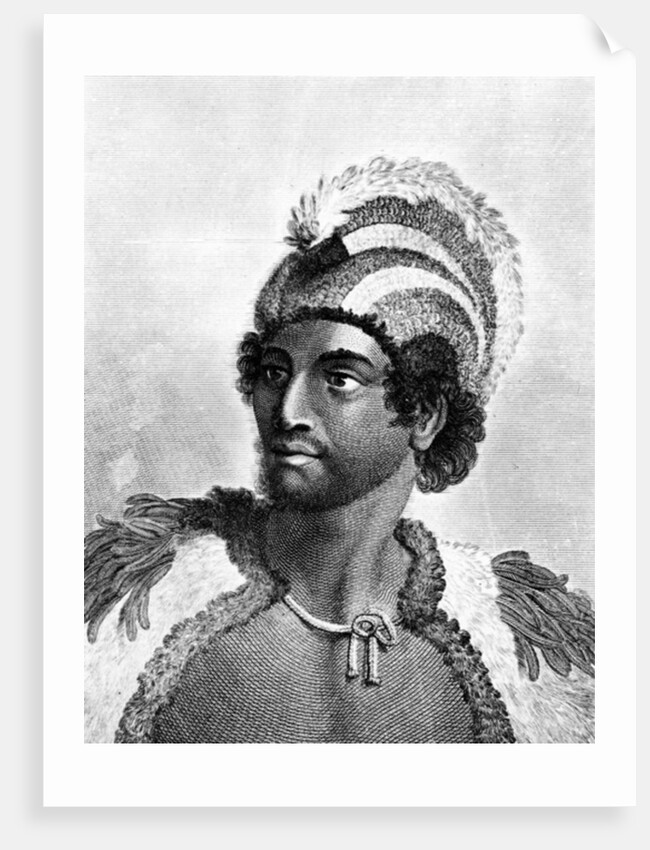 Portrait of Kaneena, a Chief of the Sandwich Islands in the North Pacific Ocean by John Webber
