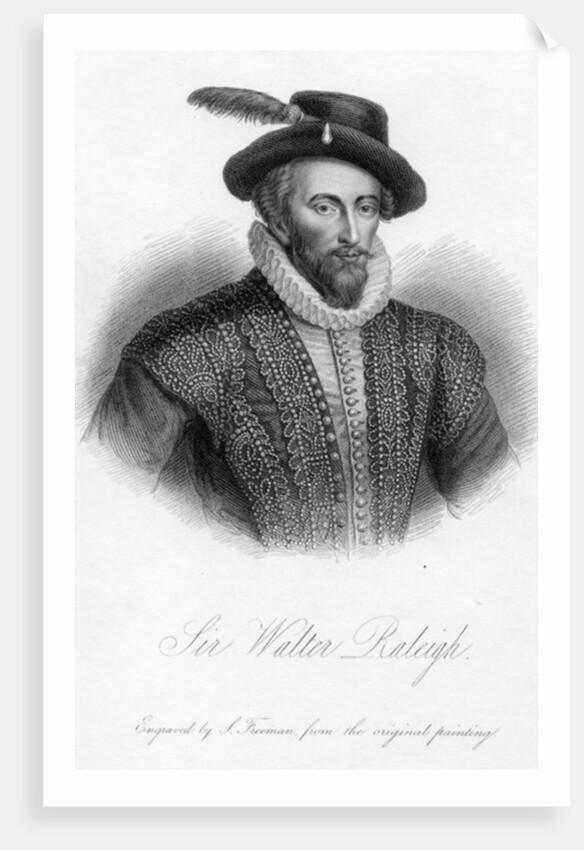 Sir Walter Raleigh, print made by S. Freeman by Marcus the Younger (after) Gheeraerts
