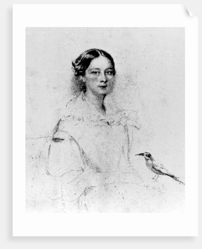 Portrait of Emily Shore, 19th Century by English School