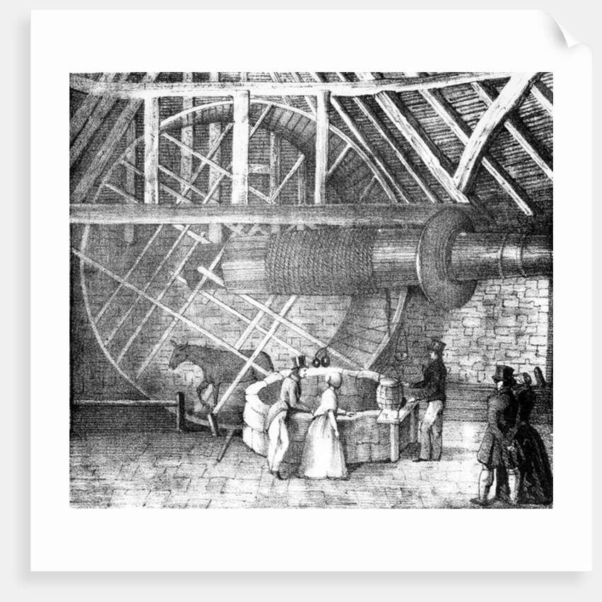 Well hoist driven by a Donkey, c.1870 by English School