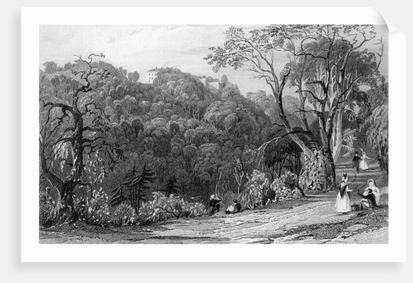 Castle Eden Hall, Durham, 1833 by Thomas Allom