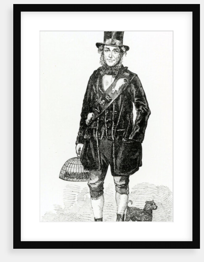 Jack Black, Her Majesty's Ratcatcher, c.1840 by English School