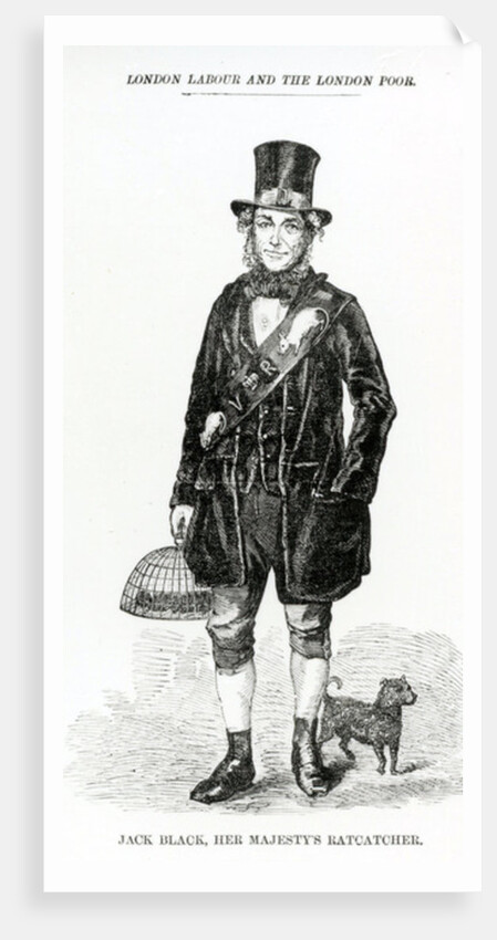 Jack Black, Her Majesty's Ratcatcher, c.1840 by English School