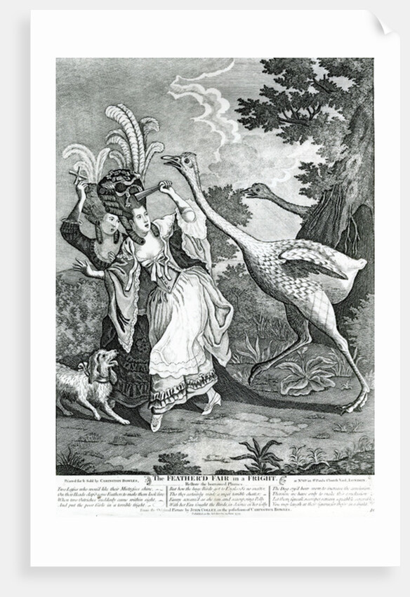 The Feathered Friend in a Fright, 1779 by John Collet