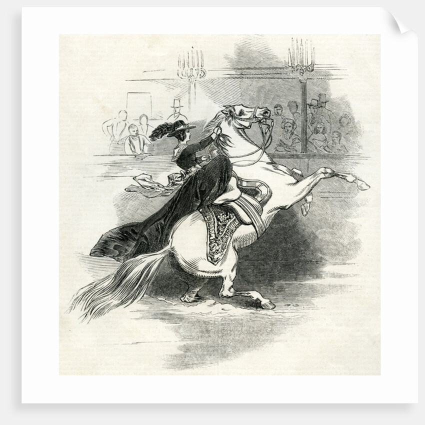 Astley's Amphitheatre, London, Scene in the circus by English School