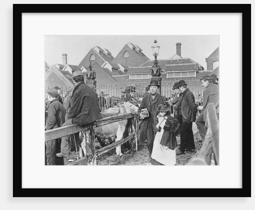 British village cattle market, Victorian, 19th century by English School
