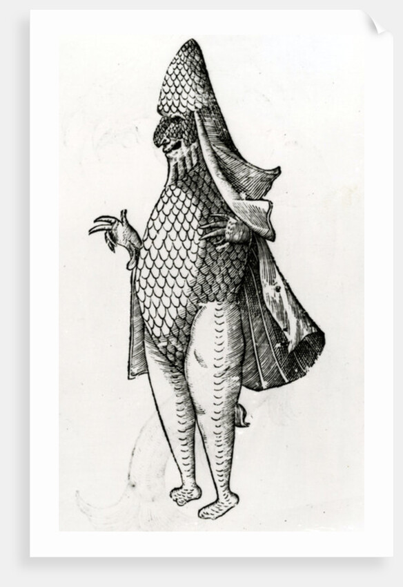 Monstrum Marinum rudimenta habitus Episcopi referens, 1642 by Italian School