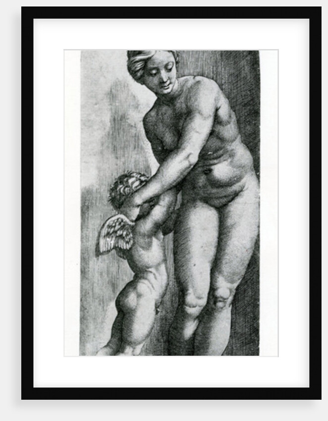 Venus and Amor, 17th Century by Italian School