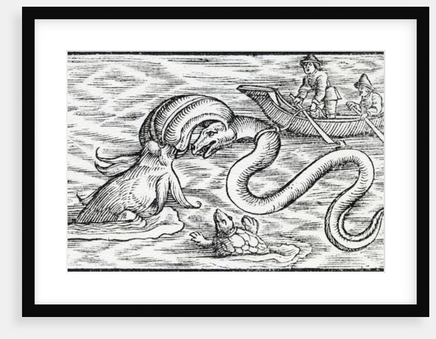 Sea monsters, 1511 by Spanish School