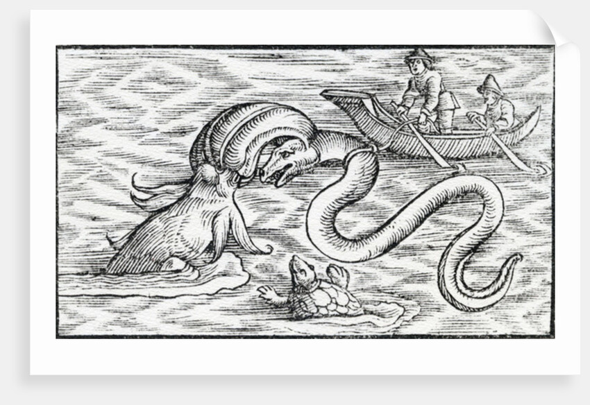 Sea monsters, 1511 by Spanish School