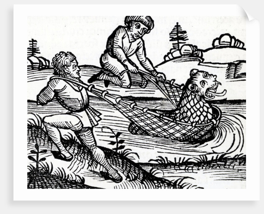 Illustration taken from the Nuremburg Chronicle, 1493 by German School