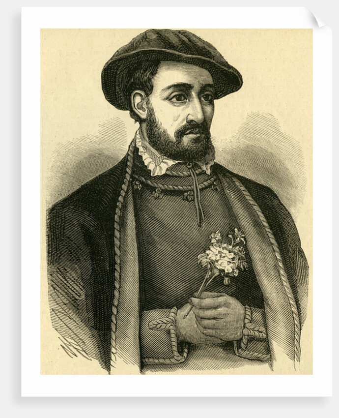 John Dudley, Duke of Northumberland by English School