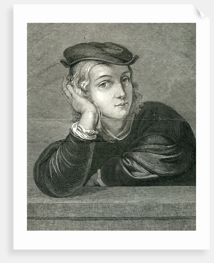 Raphael at the age of 15 by English School