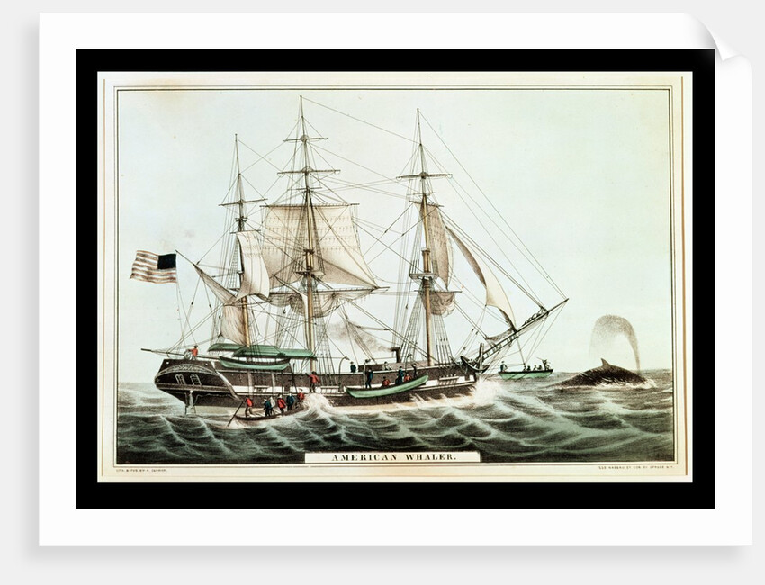 American Whaler by American School