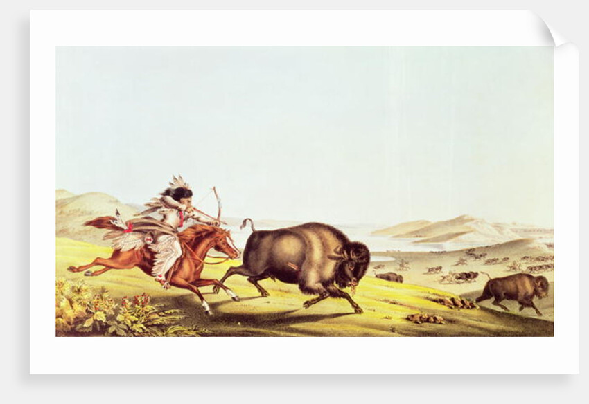 Hunting the Buffalo by American School