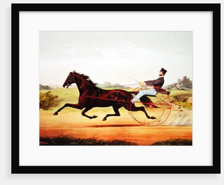 The Celebrated Horse, George M. Patchen, The Champion of the Turf by American School