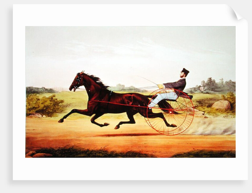 The Celebrated Horse, George M. Patchen, The Champion of the Turf by American School