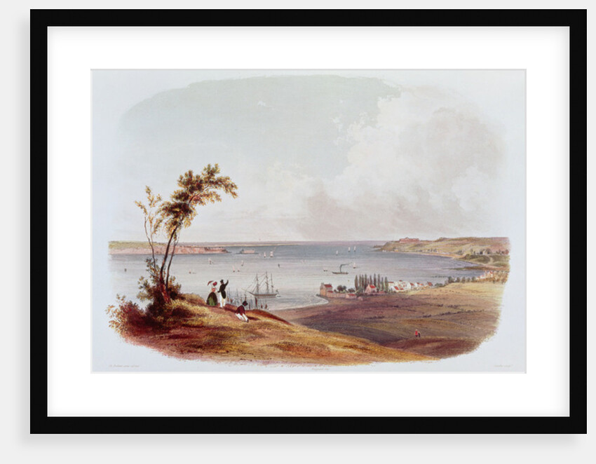 Entry to the Bay of New York, Staten Island by Karl Bodmer