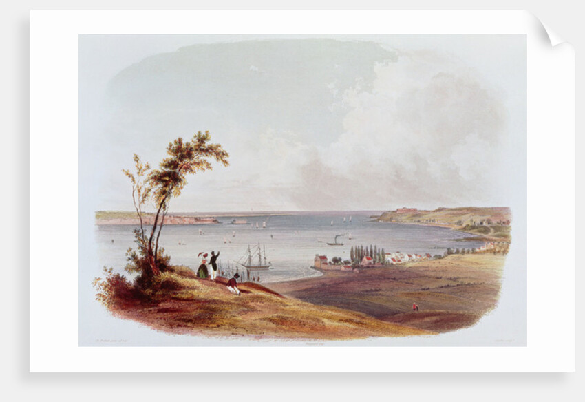 Entry to the Bay of New York, Staten Island by Karl Bodmer