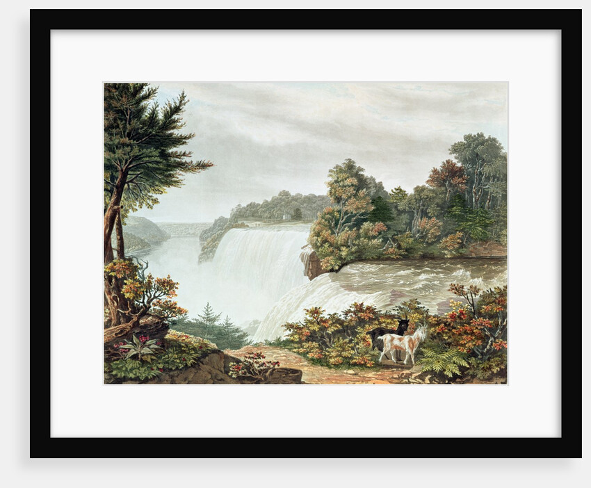 Niagara Falls, from Goat Island by William James Bennett