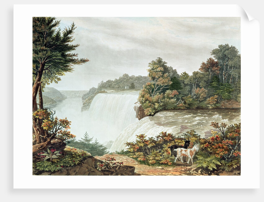 Niagara Falls, from Goat Island by William James Bennett