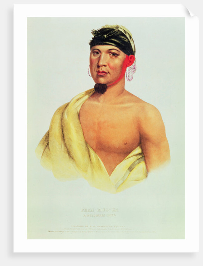 Peah-Mus-Ka, a Musquakee Chief by American School