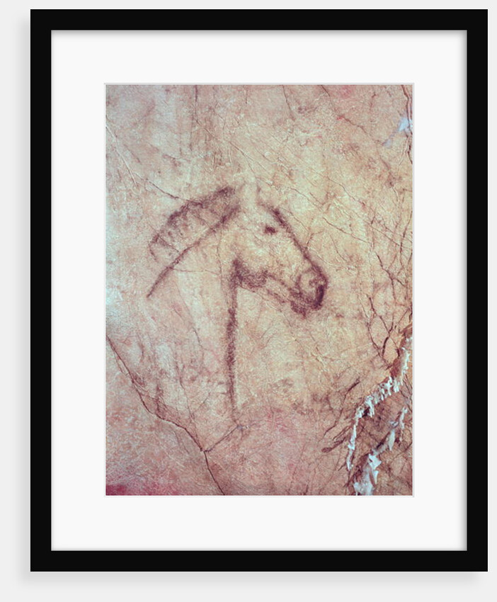 Head of a Horse by Paleolithic Paleolithic