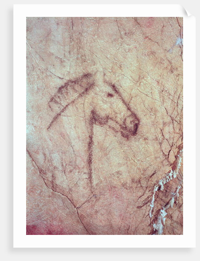 Head of a Horse by Paleolithic Paleolithic