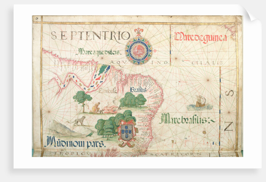 Mouth of the Amazon, Brazil by Diego Homem