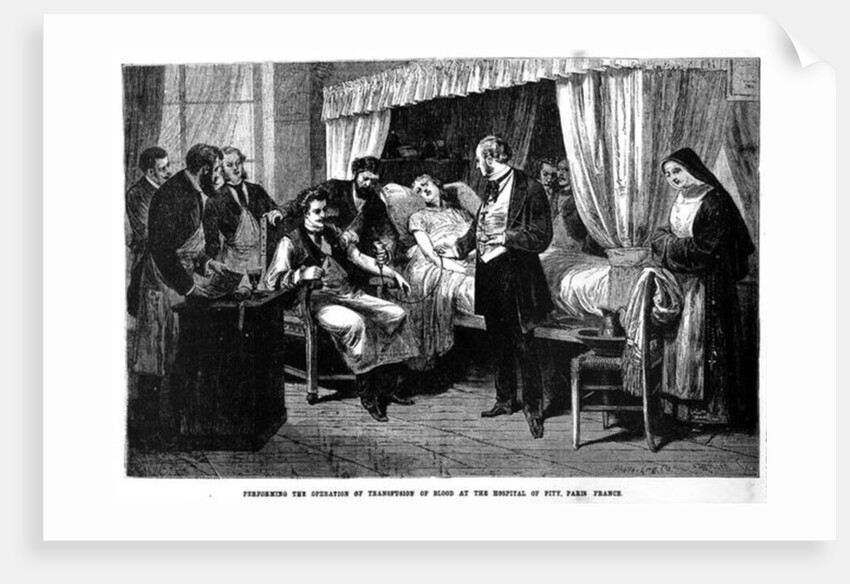 Performing the Transfusion of Blood at the Pitie-Salpetriere Hospital, 1874 by American School