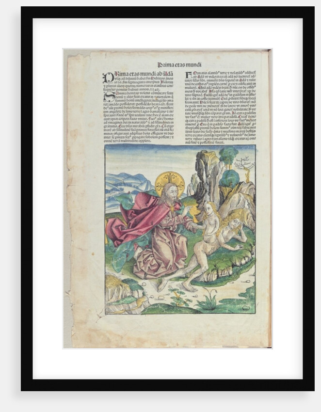 The Birth of Eve by German School
