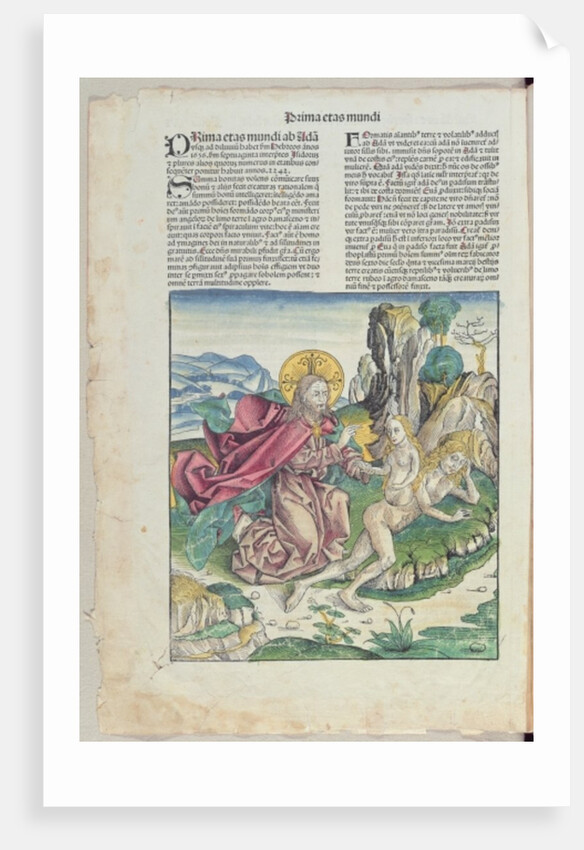 The Birth of Eve by German School