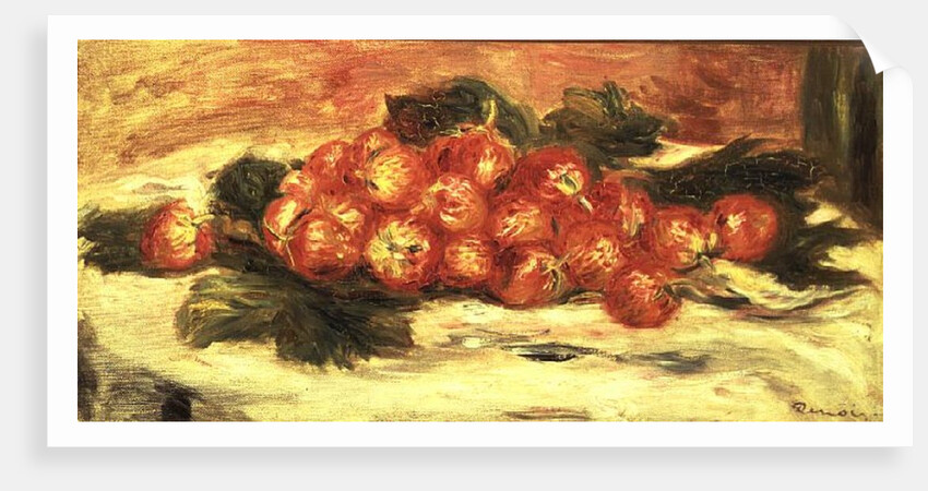 Strawberries on a White Tablecloth by Pierre Auguste Renoir