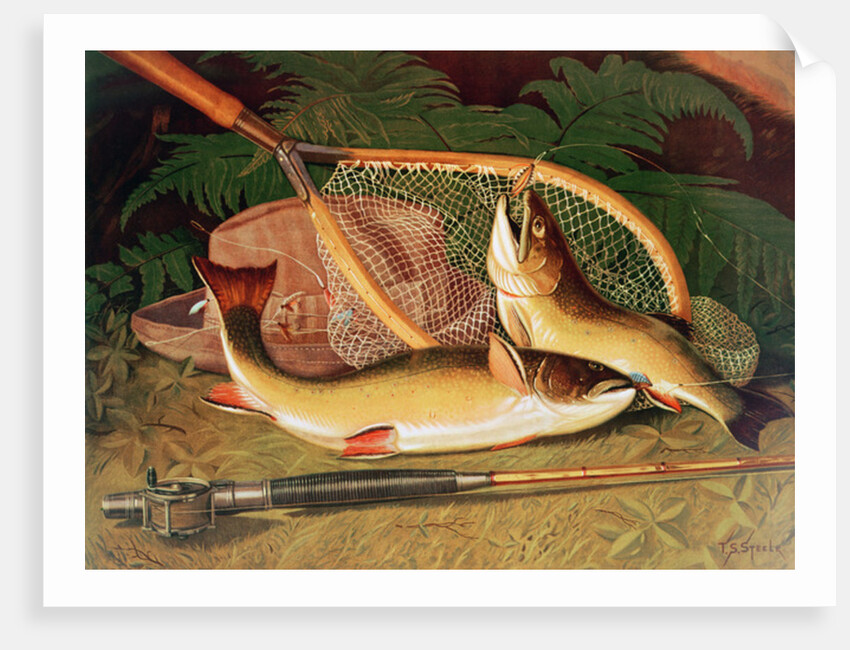 Still Life with a Salmon Trout, a Rod and a Net by Thomas Sedgwick Steele