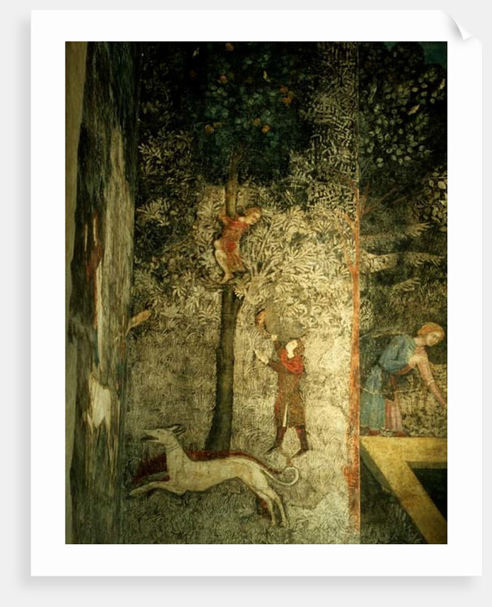 Hunting dogs and men climbing a tree by Matteo Giovanetti