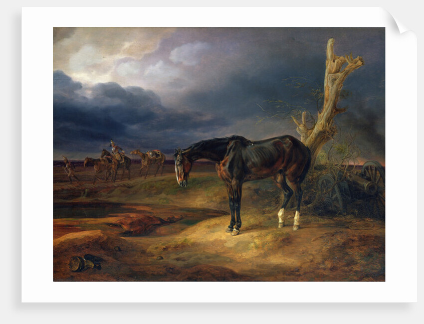 Ownerless Horse on the Battlefield at Moshaisk in 1812, 1834 by Albrecht Adam