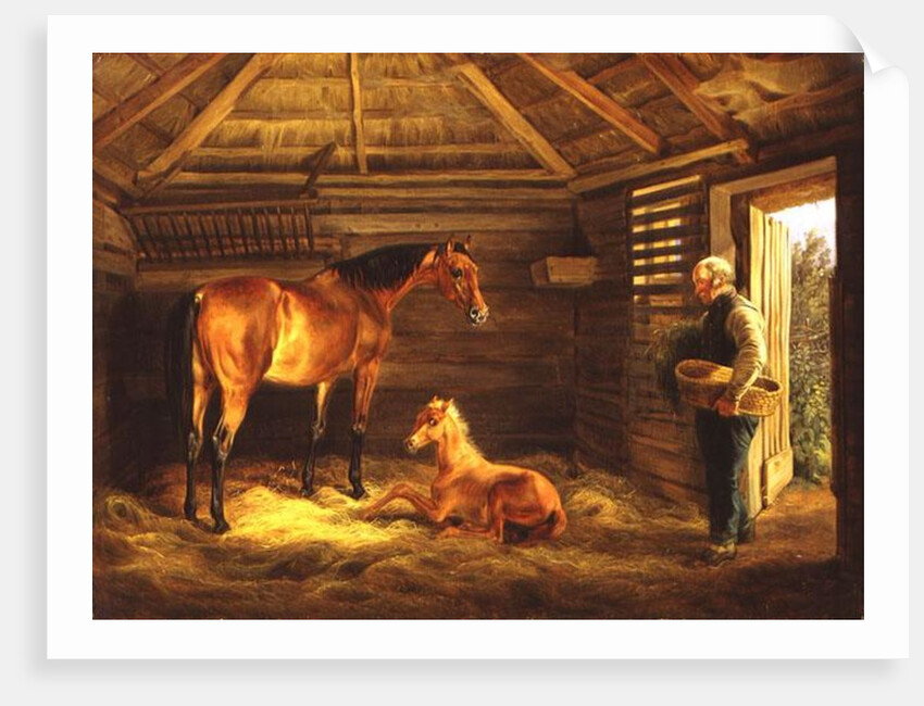 English Mare With Her Foals, 1833 by Albrecht Adam