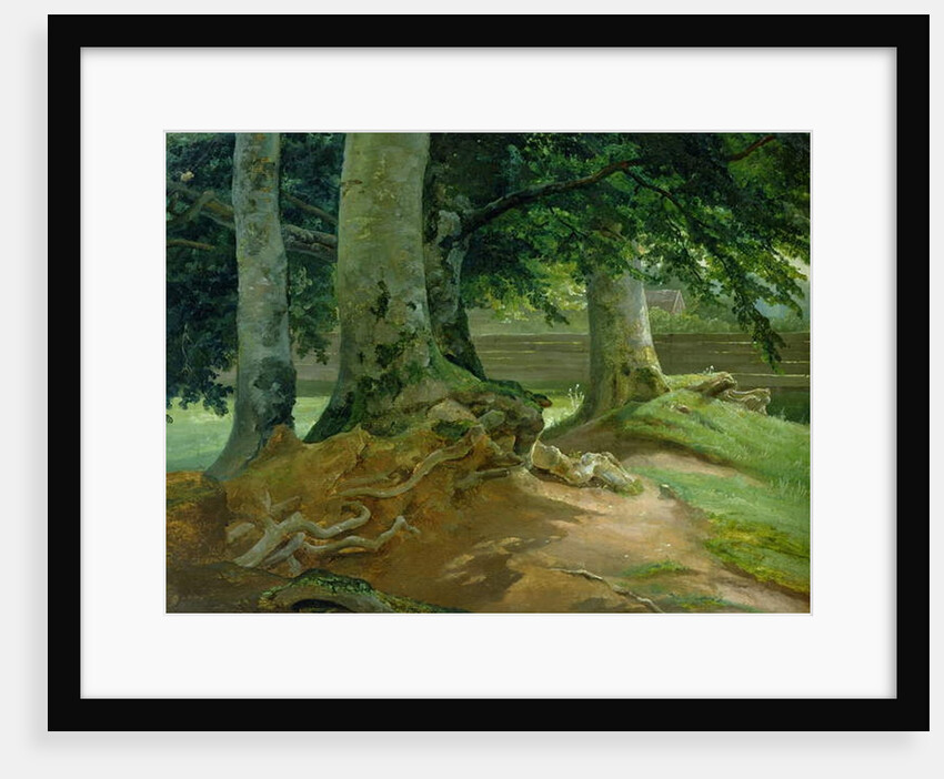 Beech Trees in Frederiksdal near Copenhagen, 1828 by Christian Ernst Bernhard Morgenstern