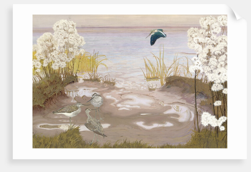 Bird on the Mud Flats of the Elbe, 1910 by Friedrich Lissmann