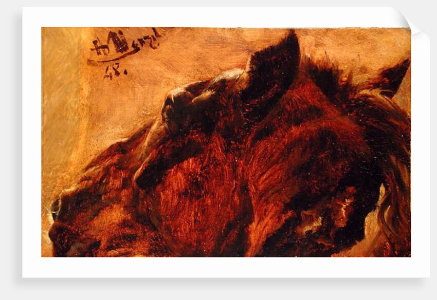 Head of a Dead Horse, 1848 by Adolph Friedrich Erdmann von Menzel