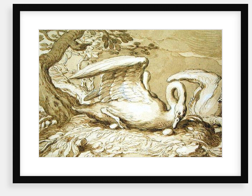 A Swan in her Nest by Abraham Bloemaert