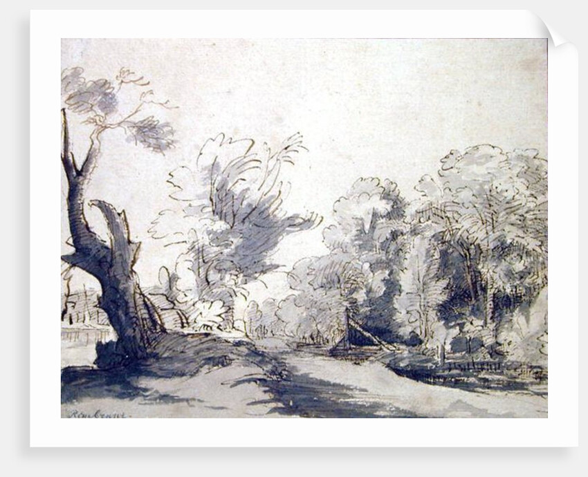 Landscape by Rembrandt Harmensz. van Rijn