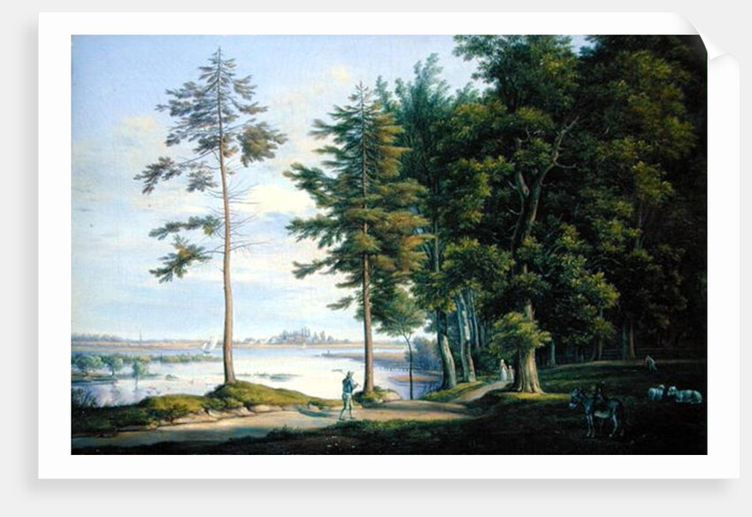 A Meadow in Hamburg by Joachim Faber