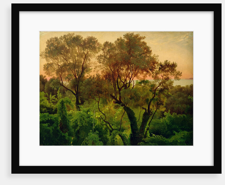 Slope with Olive Trees by Louis Gurlitt