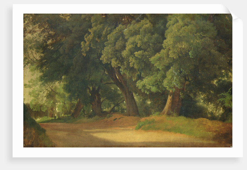 Oak Trees in Holstein by Louis Gurlitt