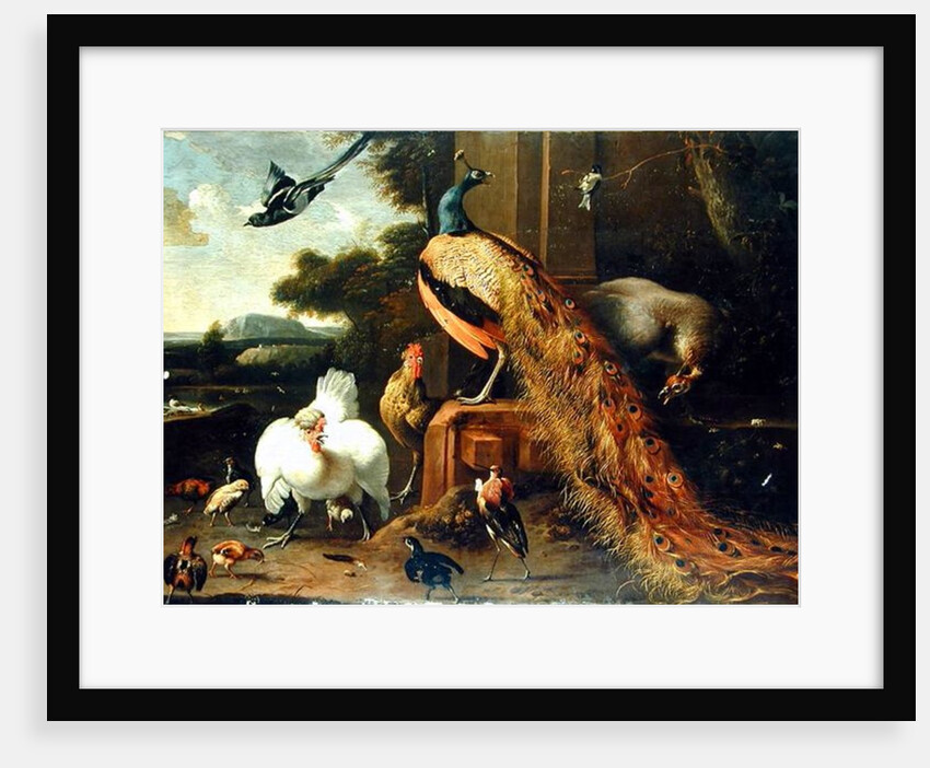 Revolt in the Poultry Coup by Melchior de Hondecoeter