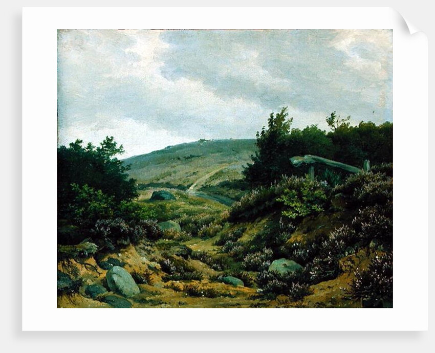 On the Moor by Marcus Johann Haeselich